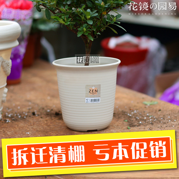 深花盆排行榜