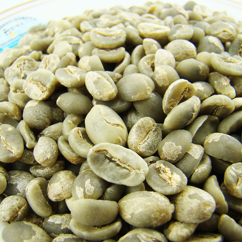 老品种 中咖云南小粒咖啡豆 铁皮卡生豆 蓝山风味 稀少454克