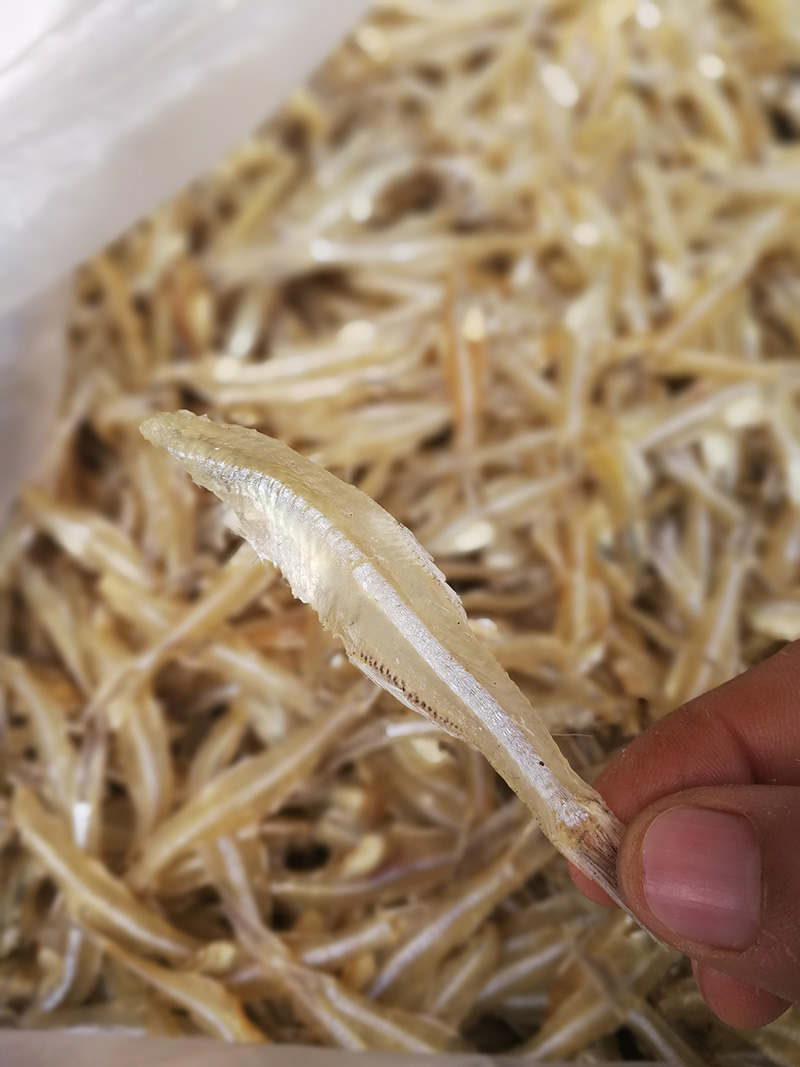 北海特产微甜水晶鱼沙丁鱼银鱼干白凡鱼白饭鱼小鱼干海鲜干货250g