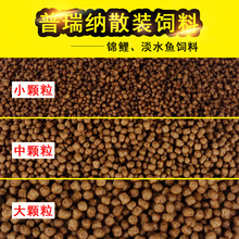 锦鲤鱼饲料中粒金鱼粮锦鲤鱼食料500g 普瑞纳散装 包邮 江浙沪皖10斤