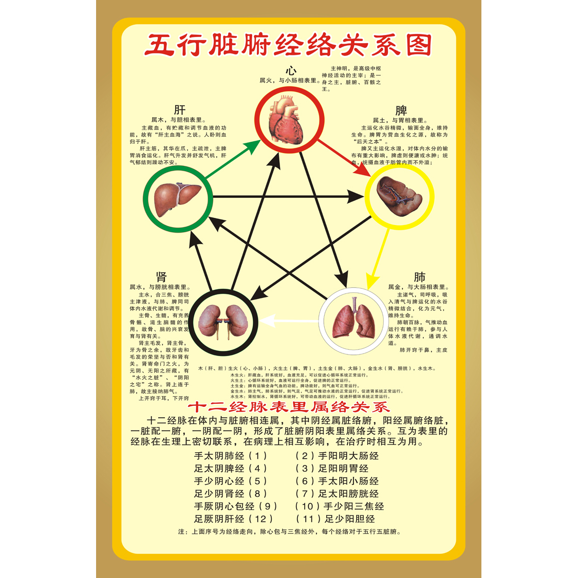 五行脏腑关系经络挂图 十二经脉表里属络关系中医养生墙贴挂画