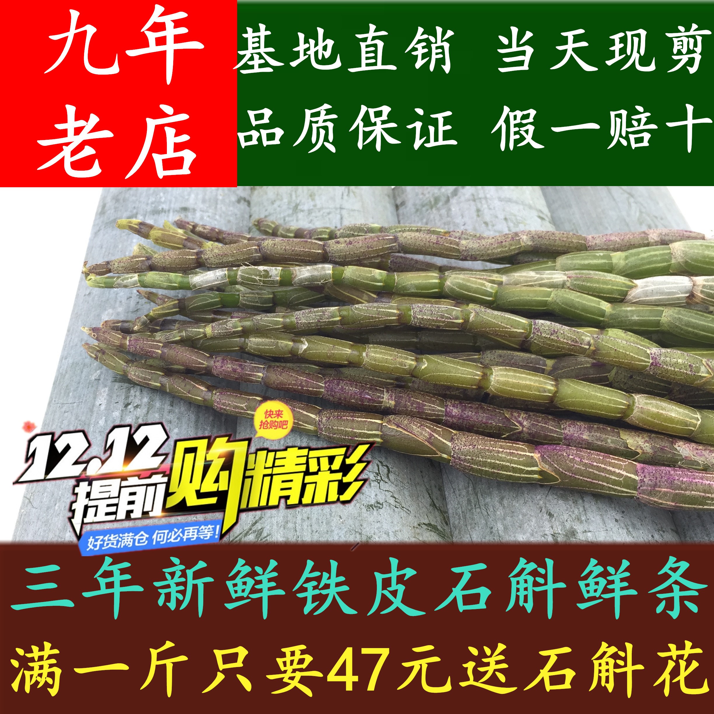 乐清雁荡山铁皮石斛鲜条三年新鲜仿野生滋补霍山枫斗500g送石斛花