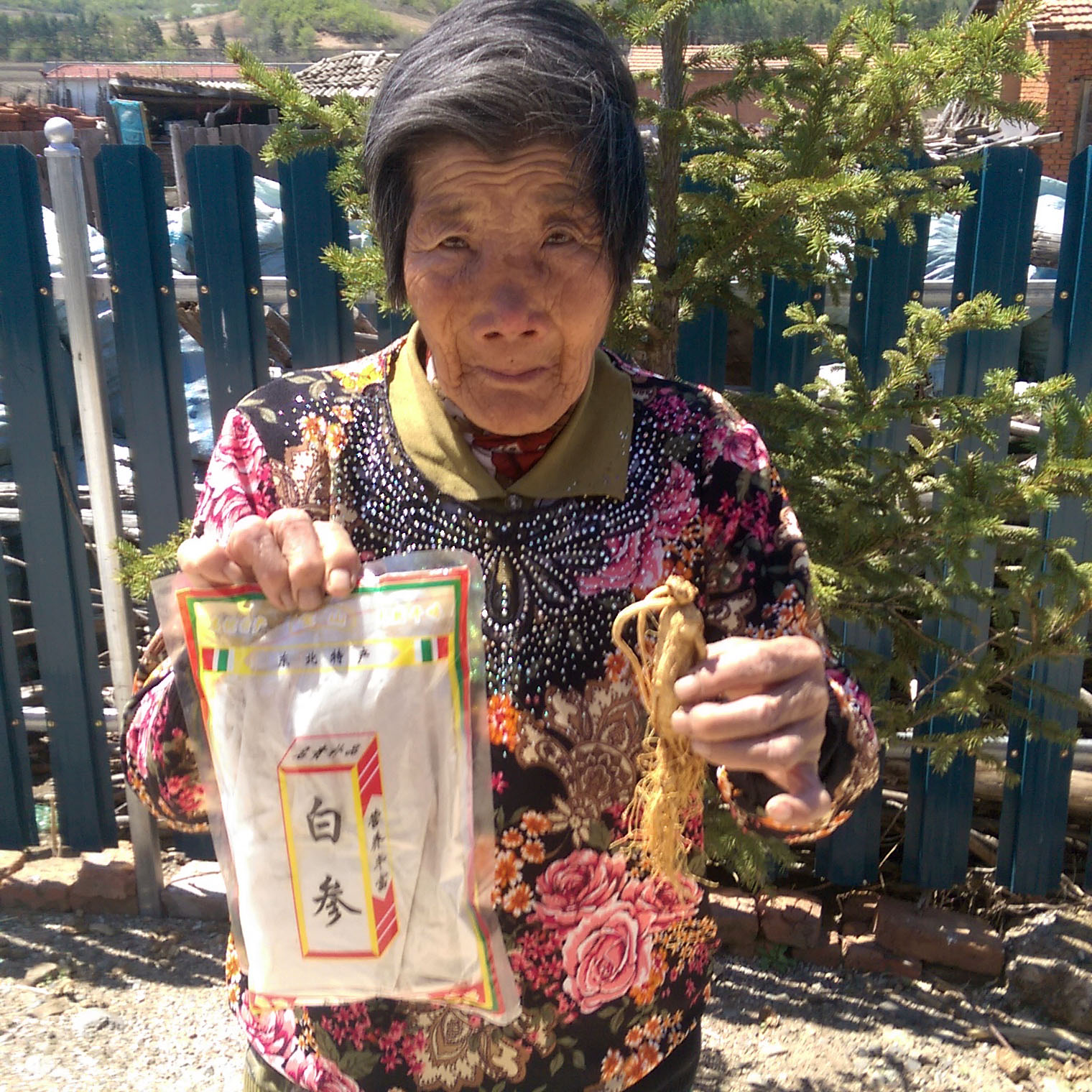 白参粉中药材自家打粉批发长白山白参粉人参粉生晒参粉人参残肢粉