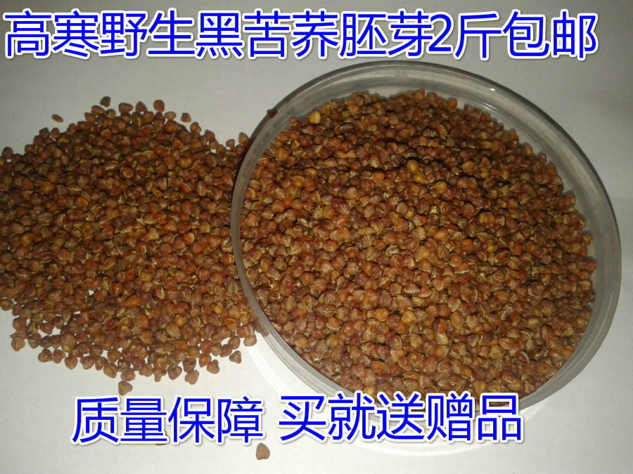 红荞地苦荞茶整颗粒胚芽茶四川凉山黑苦荞茶 苦荞麦苦乔茶全胚芽