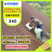 包邮 大包大颗粒陶粒防水防潮卫生间厕所阳台室内回填陶粒 18包