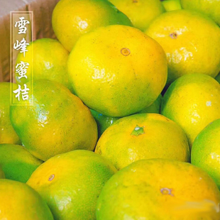 雪峰蜜橘湖南特产薄皮无核礼品装洞口蜜桔新鲜水果特早熟桔子10斤