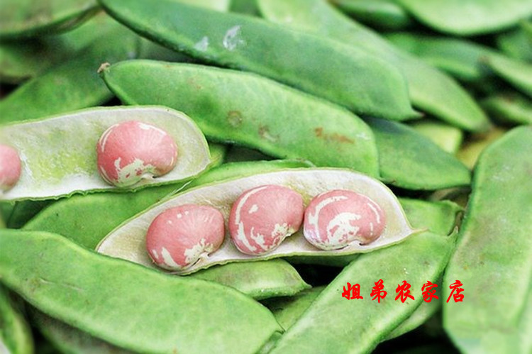 5斤包邮2017年贵州农家四季豆 花芸豆酸菜豆汤 豆米火锅 杂粮豆子