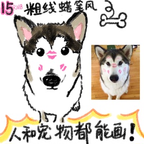 手绘狗狗猫咪头像定制手绘q版头像设计宠物卡通形象插画动漫漫画