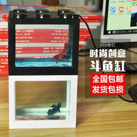 [折扣]将军斗鱼正品 大耳将军斗鱼购买 koi将军