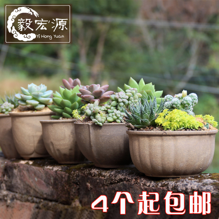 茂林陶瓷水泥花盆心形简约个性化多肉植物小花盆多肉花盆特价