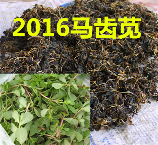 野生马齿苋 干马齿苋野菜中药材马齿菜马苋五行草长命菜500克包邮