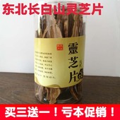 东北特产长白山深山野生整枝赤灵芝切片椴木林芝 灵芝片
