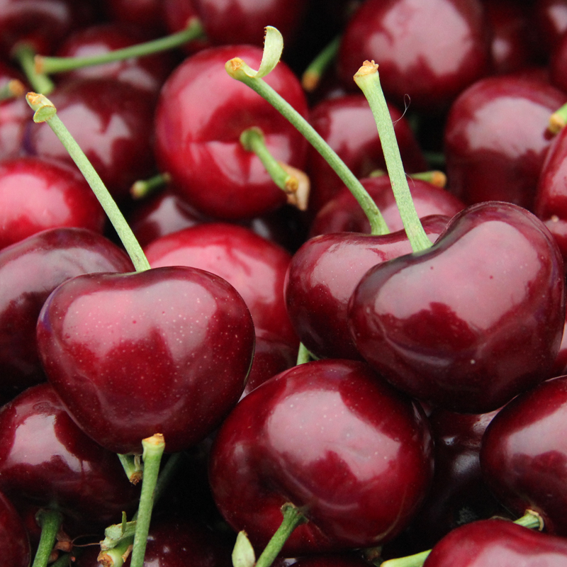 限京津冀 大连美早樱桃 1斤 新鲜水果 国产车厘
