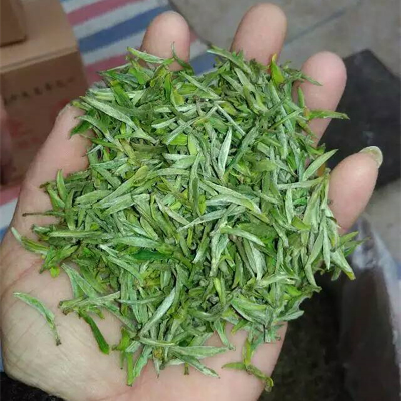 2016黄山毛峰 新茶 明前头采 绿茶 特级黄山毛峰 雀舌毛尖100克
