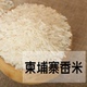 柬埔寨茉莉香米5kg赛亚长粒大米进口原粮袋装新米10斤dami非泰国
