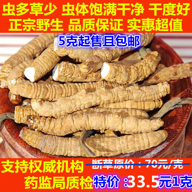 正宗西藏那曲冬虫夏草 大断草 正品野生虫草 自吃首选 5克起拍