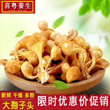 正品 农家 非蛹虫草 虫草花 新会 包邮 大孢子头 金虫草 干货50g