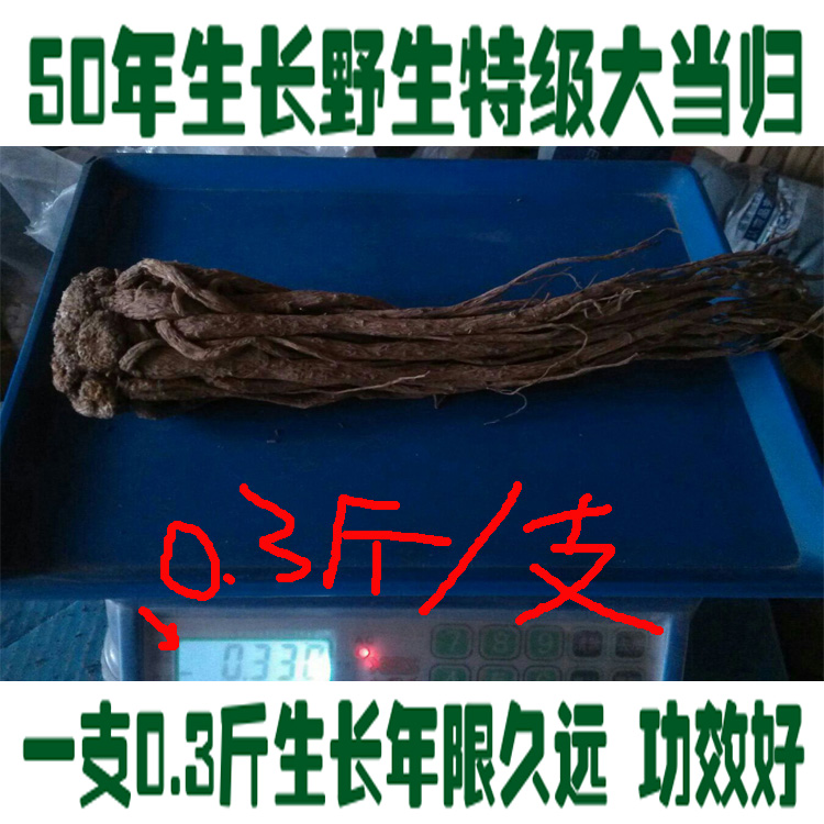 甘肃岷县中国当归之乡天然野生特级大当归泡酒无硫磺野山采挖