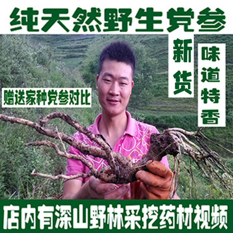 新货天然纯野生党参500克包邮特级 无硫中药材潞土纹党参可切片粉