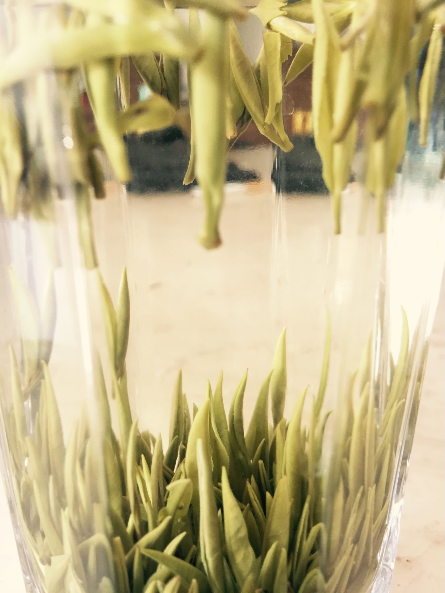 原产地直销黄山毛尖2016明前毛尖芽头绿茶特级高香125g新茶