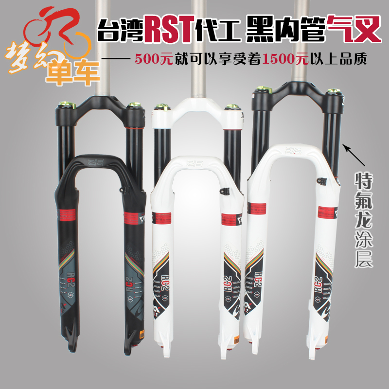 正品 天鹅十孔口琴10孔C调儿童彩色口琴 送吹奏说明 生日新年礼物