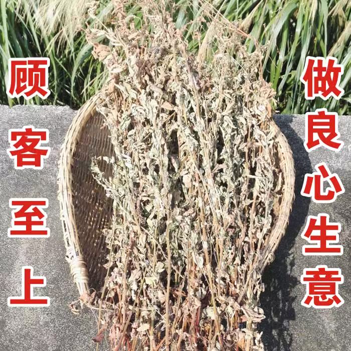 中药材 野生仙鹤草 龙牙草 狼牙草 子母草 2016新货包邮