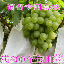 葡萄套袋纸袋防鸟葡萄专用套袋葡萄袋大部分地区水果袋子100个