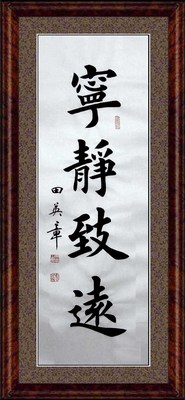 名家范曾字画书法作品客厅书房办公室书法手写未裱包邮★舍得