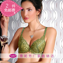 雪妮芳深V聚拢镂空蕾丝性感文胸2149A中模 经典 包邮 正品 促销 2个