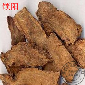 中药材 锁阳 新疆野生新货 益精兴阳 养筋 500克20元