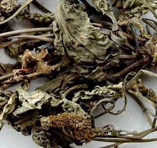 中药材车前草 500克 8元