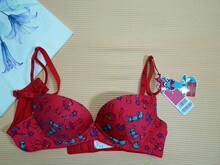 299 4聚拢光面聚拢文胸IM11E91 爱美丽3 专柜正品