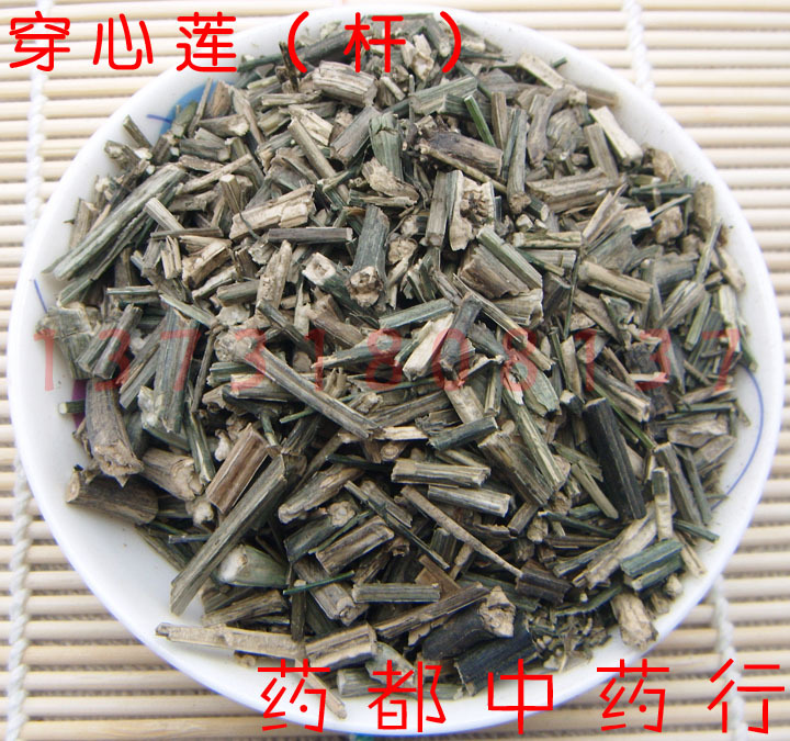 中药材 穿心莲 (杆)50克 别名：一见喜、斩蛇剑、苦草、榄核莲