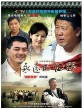 DVD 程煜 姜宏波 王新军 大型电视连续剧 田野 永远 商城正版