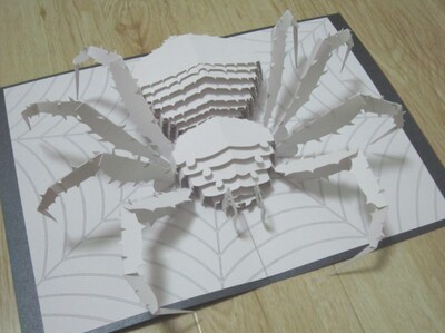 昆虫动物折纸模型:蜘蛛 立体仿生构成作业 手工创意生日礼物