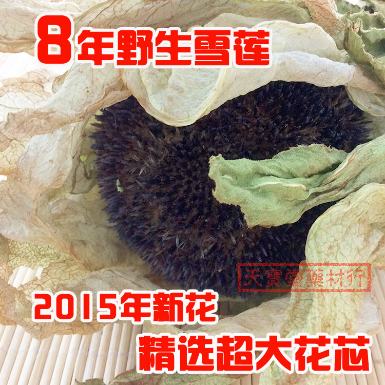 【8年大朵天山雪莲花】5千米高海拔野生大花头 新疆药材包邮