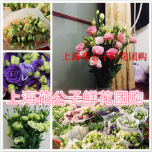 包月 包邮 拜佛香白江浙沪两扎 上海鲜花扎洋桔梗同城昆明婚庆用花