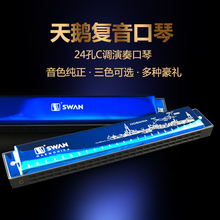 乐器口琴 天鹅24孔口琴复音C调儿童学生成人初学者练习演奏款 包邮