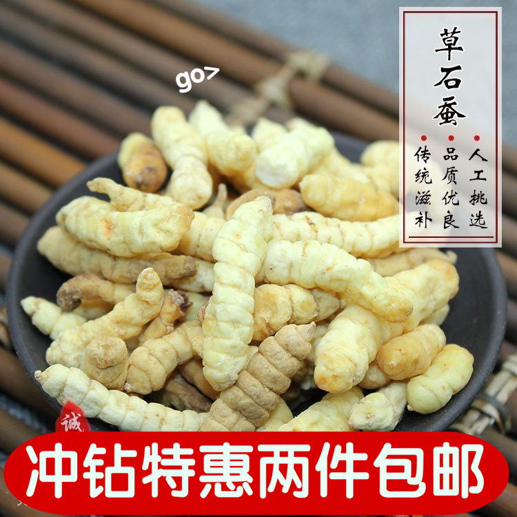 中药材 草石蚕 泽兰根 地蚕 土冬虫草 白冬虫草 白虫草