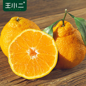 【王小二旗舰店】王小二 丑橘丑柑橘子水果批