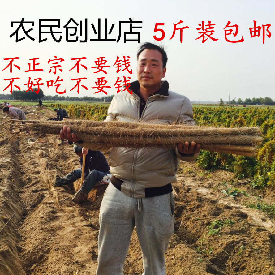 正宗焦作铁棍山药怀山药 淮铁杆山药新鲜温县沙土铁杆山药5斤包邮