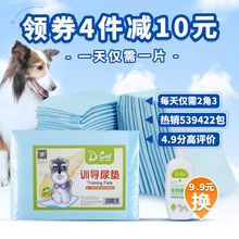 包邮 宠物尿片狗狗尿布尿垫吸水狗狗尿不湿狗尿垫 狗狗尿片100片