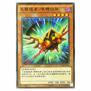 n/npr core(905) 急袭猛禽-鸣啭伯劳