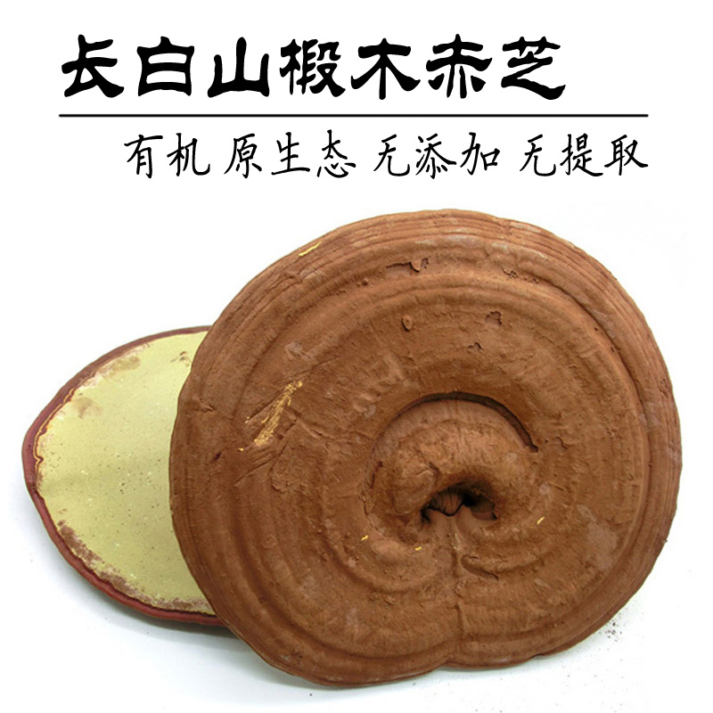长白山整枝灵芝 赤芝 东北林芝   半野生椴木灵芝带孢子粉正品