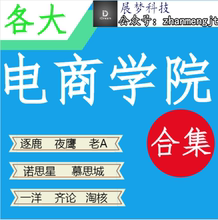 电商培训淘宝培训 网络营销课程推运营书班VIP视频 电商教程合集