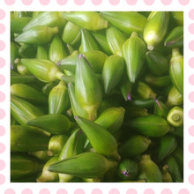 广东发货3斤起拍 团购中 新鲜蓝莲花鲜花