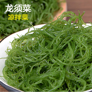 龙须菜凉菜火锅凉拌菜500克 头发菜海发菜藻类海藻海草海产品特产