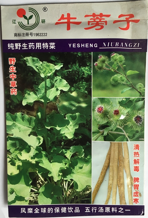原厂（牛蒡子）彩包蔬菜種 花卉種 地盆栽 阳台果蔬青菜种