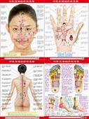 全套四张 中医背部刮痧示意图 家用中医美体针灸艾灸刮痧养生保健穴位经络图 正版 足部刮痧示意图 中医面部 手部 背部 包邮