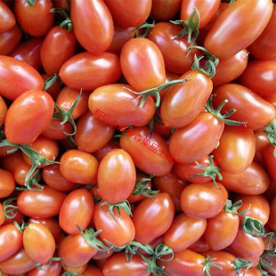 ݮ 99ݮزݮС лˮ 409СʥŮ